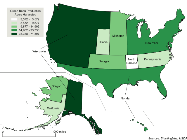 Cartogram map of green bean production in the United States Cartogram map of green bean production in the United States