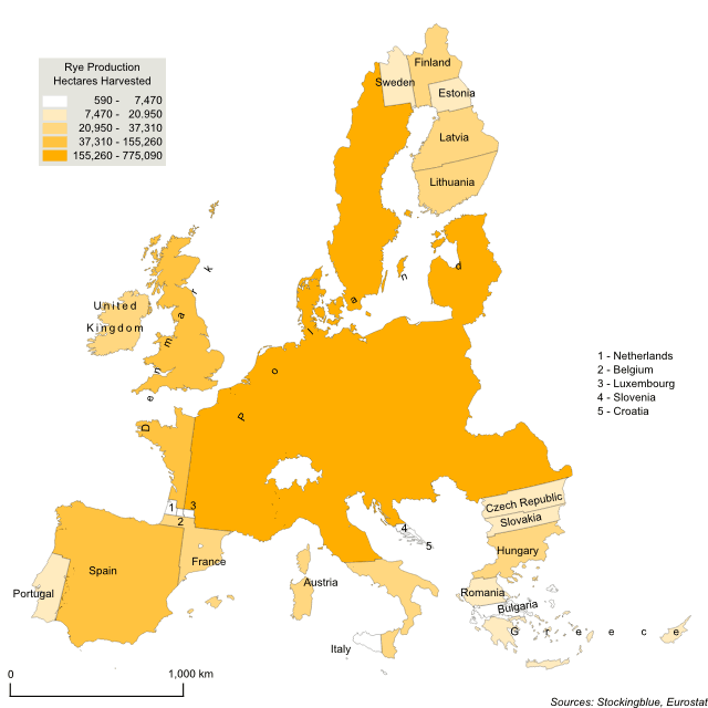 Cartogram map of rye production in the European Union Cartogram map of rye production in the European Union