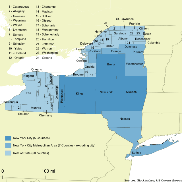 Cartogram of Population in New York State Stocking Blue